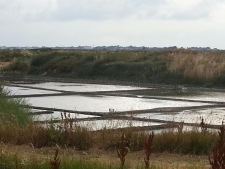 Les marais salants aux environs de Guérande.