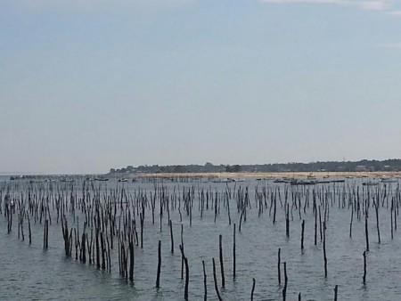 Vue sur le Cap Ferret.