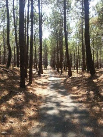Une piste de toute beauté.