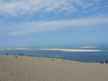Autre vue du banc d'Arguin.