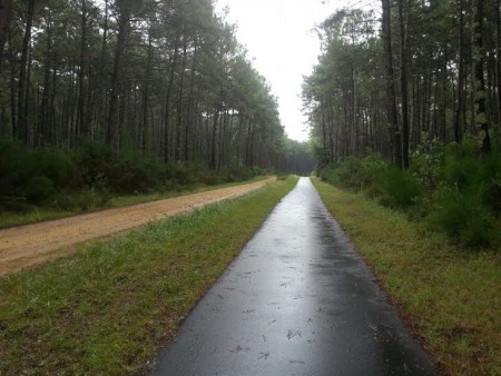 Très belle piste cyclable dans les Landes, en direction du Cap de l'Homy. 