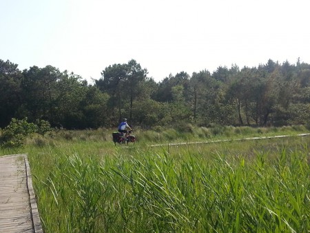Sur le GR 54.