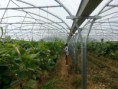 /album/galerie-photos/a425-jpg/